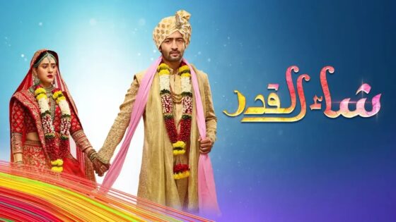 مسلسل شاء القدر الحلقة 287 اون لاين HD